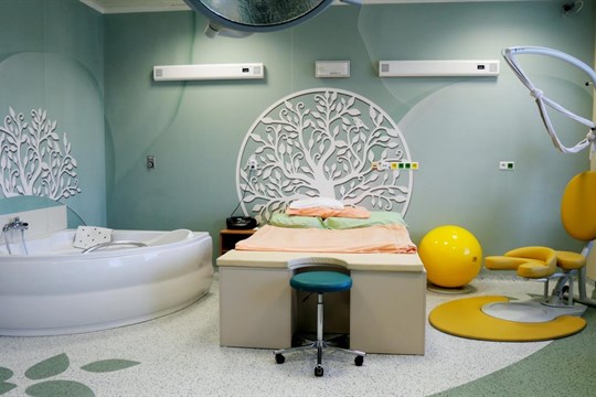 Dobrá zpráva pro maminky: porodnice plzeňské FN potvrzuje svou špičkovou úroveň