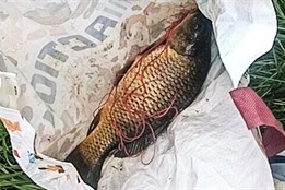 Já kapra neulovil, to jiný