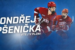 Hokejová Plzeň dál posiluje. Do útoku přichází bývalý mládežnický...