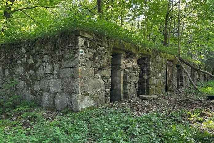 Letní kino a besedy oživí příběhy zaniklé lesní osady Zlatý potok
