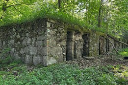 Letní kino a besedy oživí příběhy zaniklé lesní osady Zlatý potok