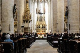 Městská policie Plzeň slouží veřejnosti už třiatřicet let....