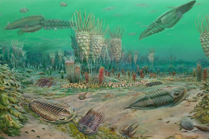 Na novou pozoruhodnou výstavu vás zve Západočeské muzeum v Plzni