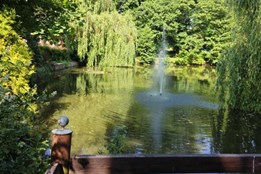 Domažlice plánují úpravy Hanova parku, začínají rozborem půdy pro...