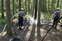 Nepoužívejte otevřený oheň a nekuřte, vyzývá Plzeň návštěvníky lesů