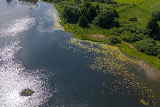 Na Klatovsku vznikl první plovoucí ostrov v kraji, pomáhá ptákům i rybám
