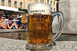 Tip na sobotu: XXXI. Nepomucké pivní slavnosti