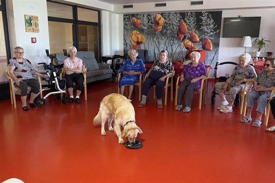Když psi pomáhají. SeniorCentrum SeneCura Plzeň zpříjemňuje dny klientům canisterapií