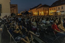 Plzeňské filmové večery 2025 přinesou letní kino do galerie,...