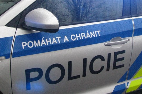 Dcera, jejíž matka umřela při domácím porodu v Plasích, bude u pěstounů