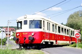 Zpestřete si prázdniny výletem do Mariánské Týnice, barokní perly...