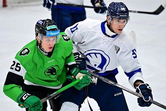 Plzeňští hokejisté vstoupili do přípravy vítězstvím