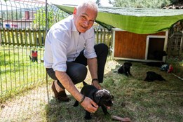 Kraj pokračuje ve spolupráci s Pomocnými tlapkami. Asistenční psy...