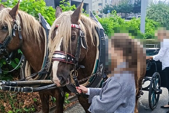 Kuriózní dopravní nehoda se stala v centru Plzně