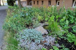 Prostřednictvím dotačních programů rozdělí první plzeňský obvod...