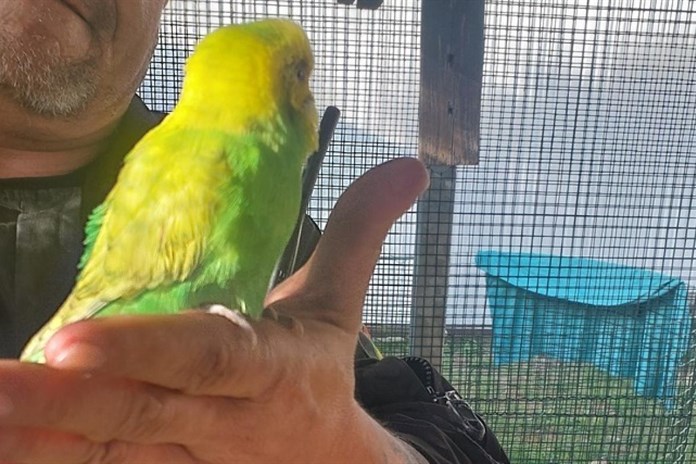 Opeřená posila tenisového klubu zpestřila hráčům neděli