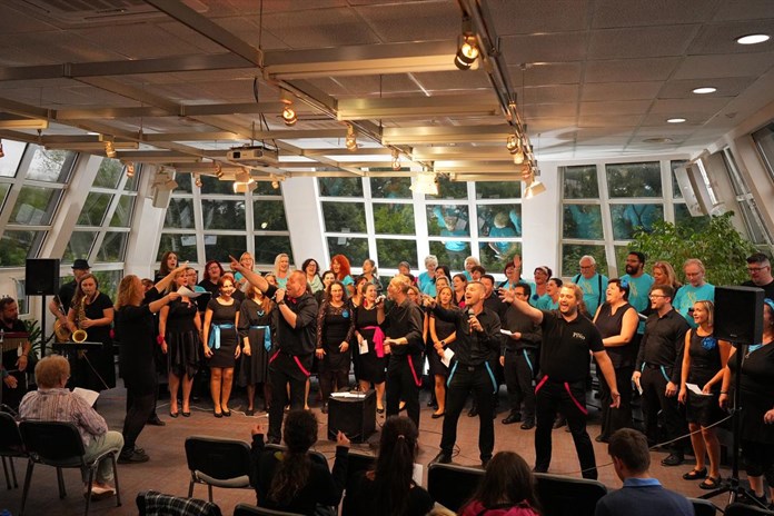 Pilsen Voice pořádá v neděli další ročník festivalu Hudba je lék