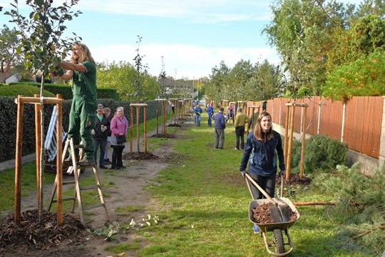 V letošních kolech grantu Stromy uspěly 4 projekty v Plzeňském a 2 v Karlovarském kraji