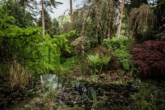 Myslivci představí v sobotu v Plzni na Sofronce lesnictví, myslivost i včelařství