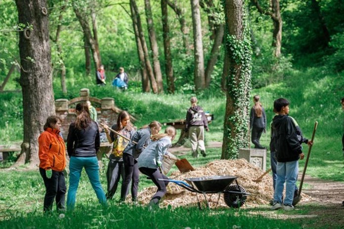 Deváťáci ze 17. ZŠ a MŠ Plzeň pečují o lokalitu Plzeňské prameny na Roudné