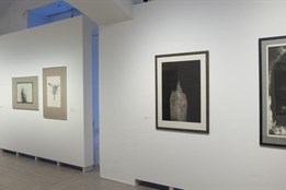 Město Plzeň rozšíří svou artotéku o další umělecká díla