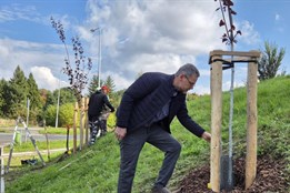 První plzeňský obvod rozkvete. Na jeho území přibyde tisíce květin...