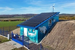 Street art umělec ProroK zase řádil! Motivem rejnoků ozdobil...