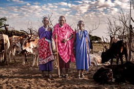 Linda Piknerová: Drahé safari v levné Africe?