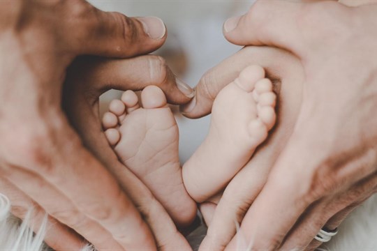 Novinky v léčbě sterility i téma očkování v těhotenství. Nejen o tom byla regionální konference porodních asistentek v Plzni