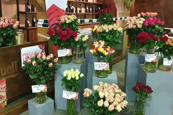 Odhalte tajemství, proč je cena valentýnských růží tak vysoká