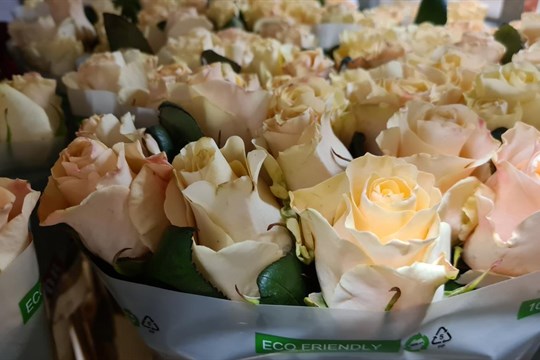 Jak popřát k MDŽ stylově a s grácií?