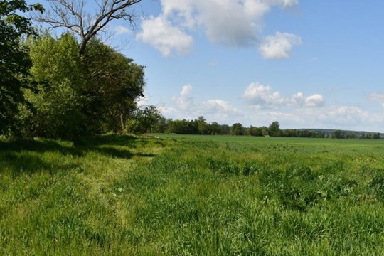 Dobrá zpráva pro cyklisty. Začíná stavba dalšího úseku greenway stezky Mže z Malesic