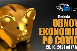 Jak obnovit ekonomiku po covidu? Diskutovali nejen poslanci