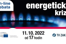 Jak se dostat z energetické krize? Diskutovali nejen europoslanci