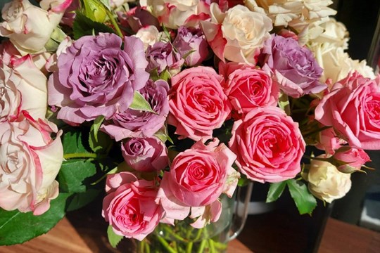 10 přání, vzkazů a básniček, kterými překvapíte ženy nejen k MDŽ