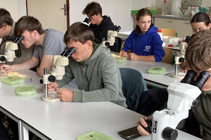 Studenti domažlického gymnázia přivezli zlatou a bronzovou medaili z  mezinárodních olympiád