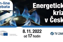 Jak se dostat z energetické krize? V on-line debatě diskutovali...