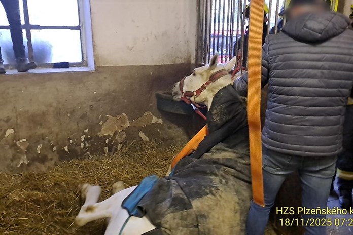 Hasiči vyjížděli na pomoc koni, který se nemohl zvednout na nohy