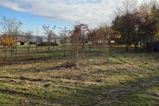 Nepořádek a provizorní přístřešky. S úklidem části Skvrňan pomáhali bezdomovci