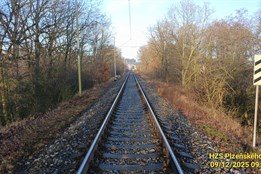 Rychlík na Plzeňsku najel do ovcí, zvířata srážku nepřežila