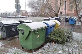 Kam s vánočními stromky? Odkládejte je k popelnicím na tříděný odpad, vzkazuje plzeňská radnice