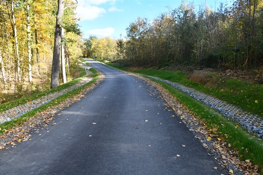 Plzeň opravila lesní cesty na Dubové hoře v Liticích, na Valše i na Kokotsku