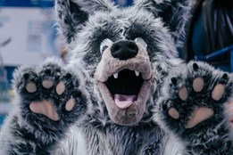 Univerzitní derby v Plzni: Souboj rivalů okořenil šumavský vlk