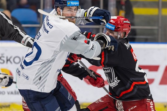 Udělali jsme hrozné hlouposti, kroutil hlavou plzeňský Lev