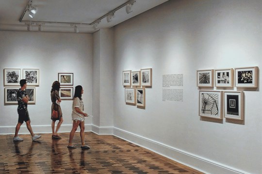 Planá na Tachovsku vzkřísí 400 let starou mincovnu. Vznikne muzeum i místo pro svatby