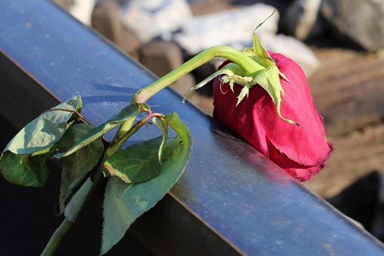 Smutné statistiky. Za posledních deset let ukončilo v Plzeňském kraji dobrovolně život téměř 800 lidí